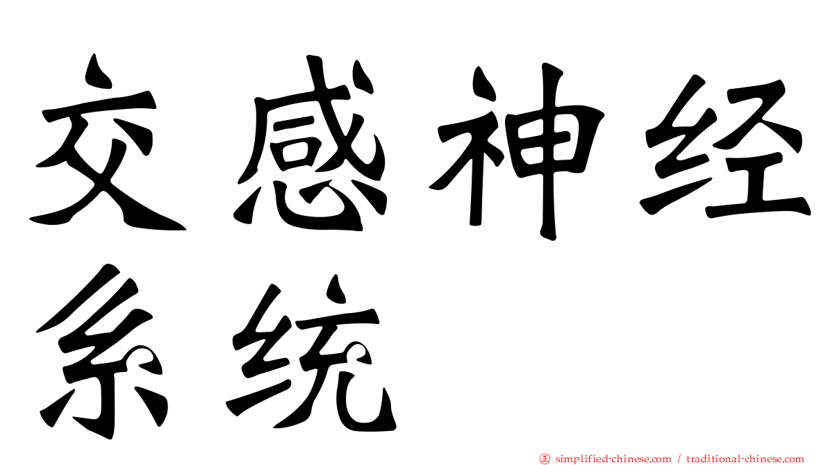 交感神经系统