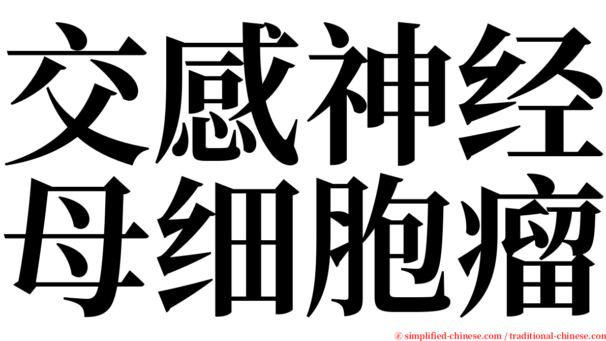 交感神经母细胞瘤 serif font
