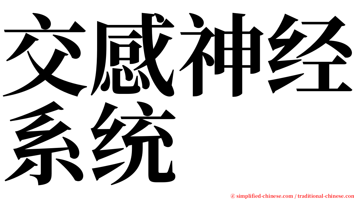 交感神经系统 serif font