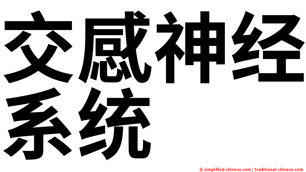 交感神经系统