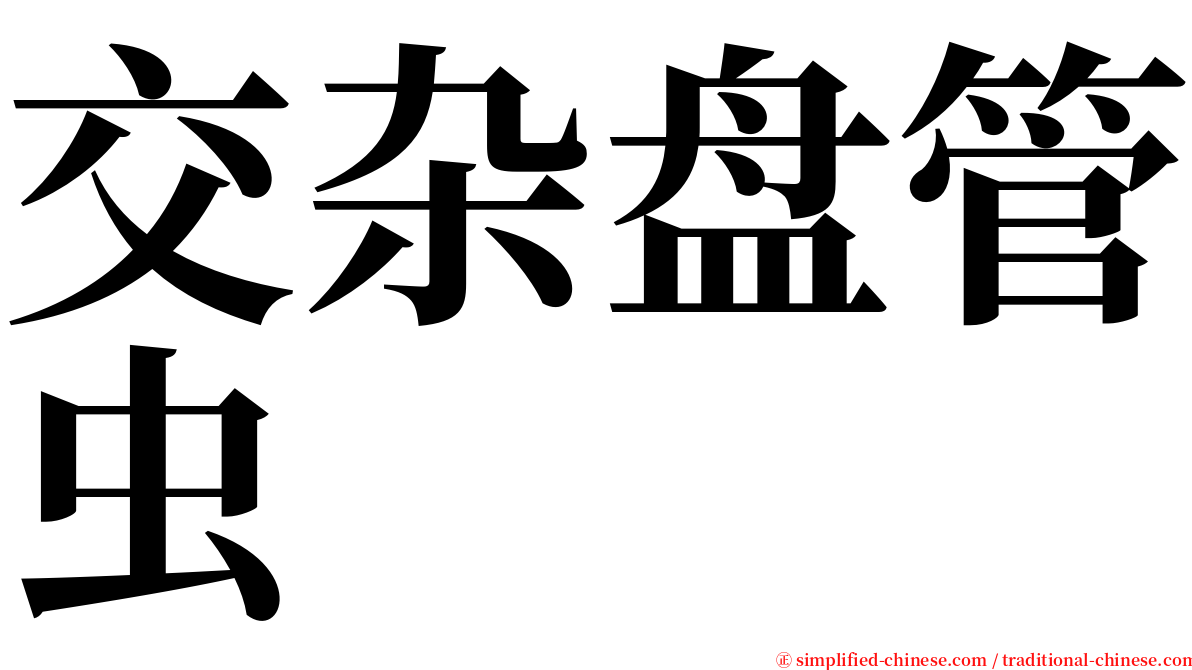 交杂盘管虫 serif font