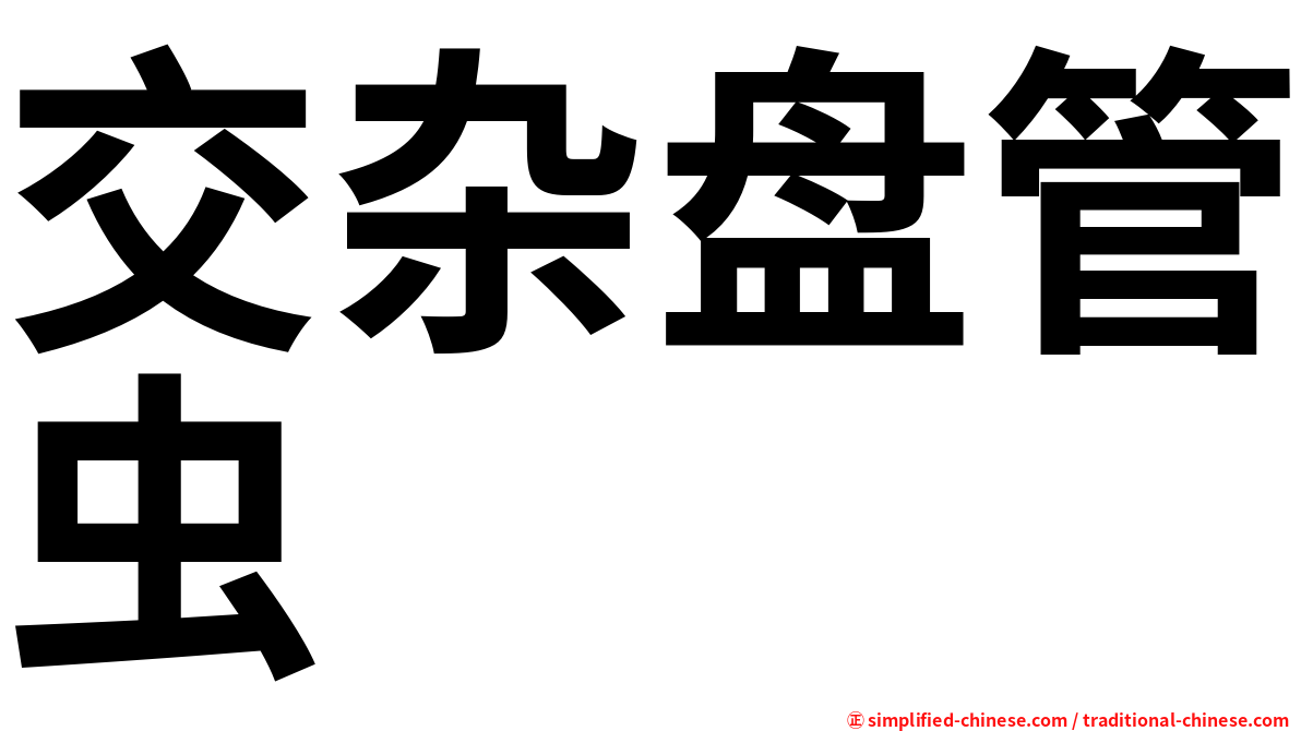 交杂盘管虫