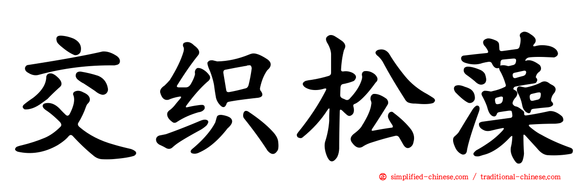 交织松藻