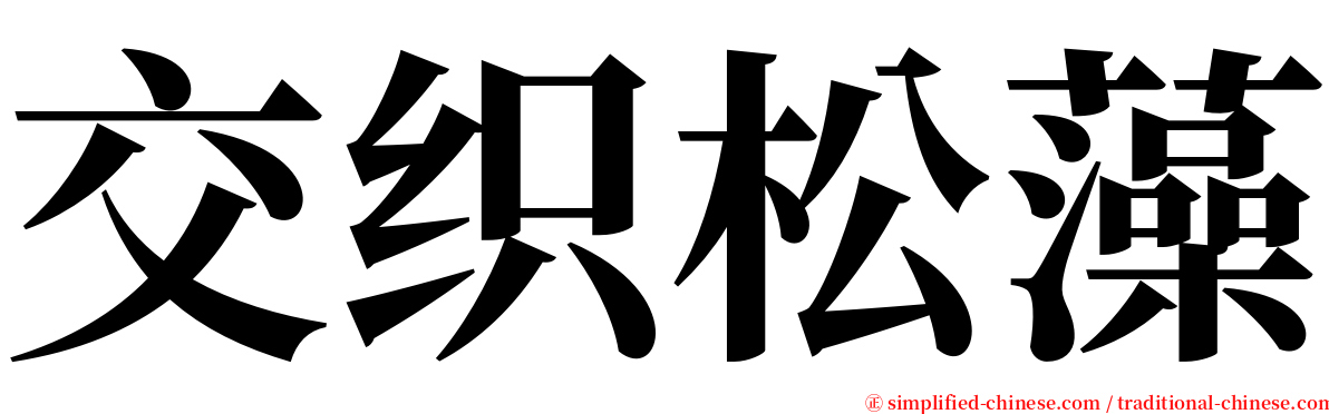 交织松藻 serif font