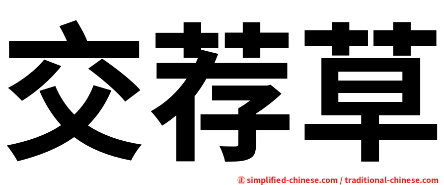 交荐草