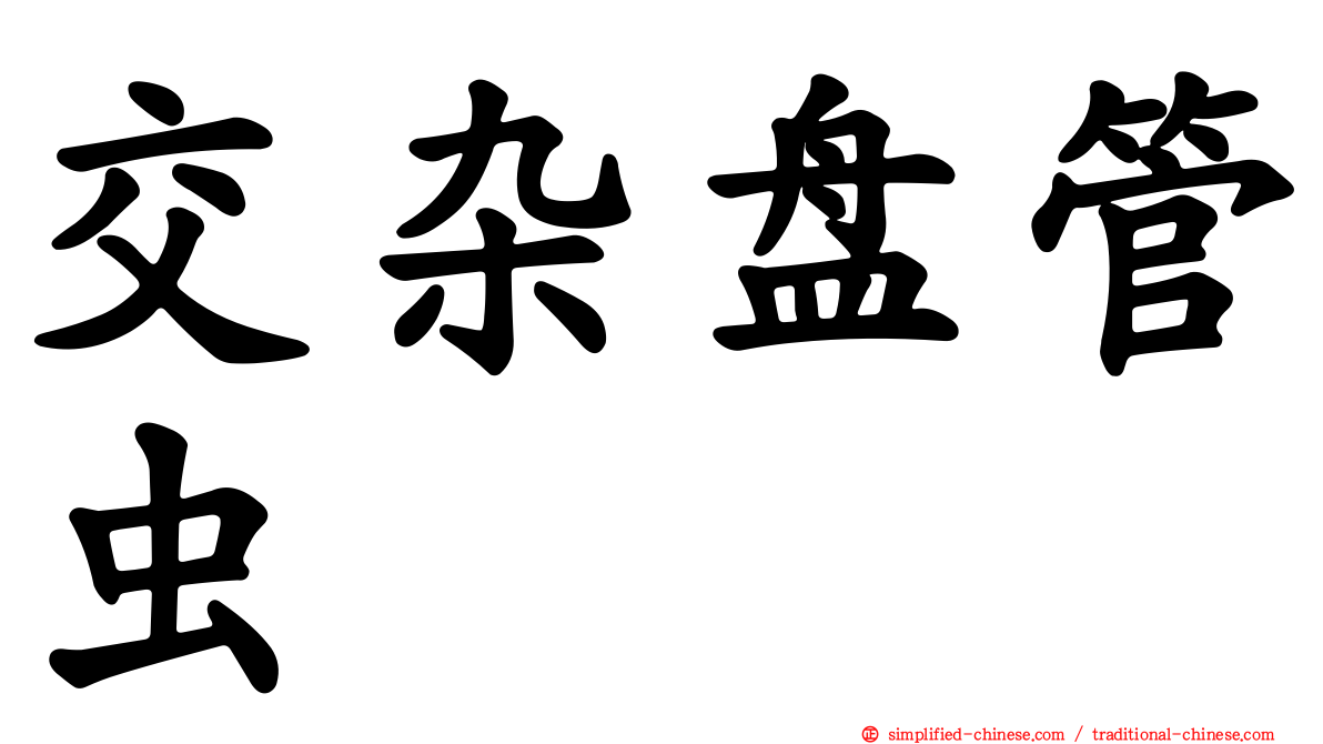 交杂盘管虫
