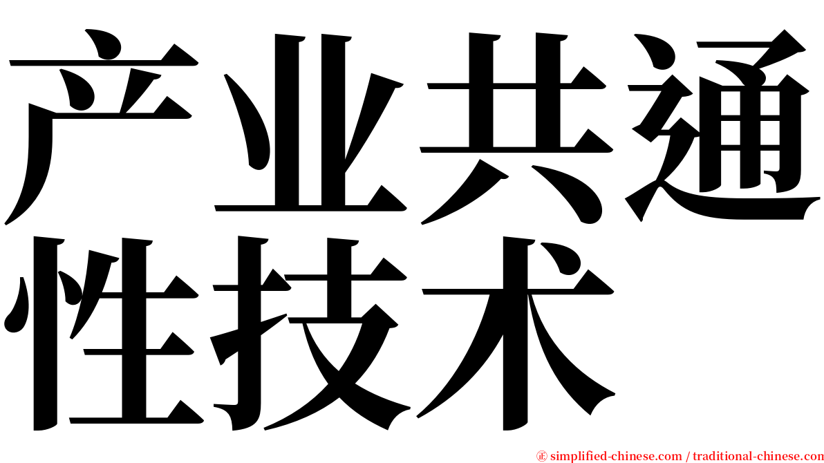 产业共通性技术 serif font
