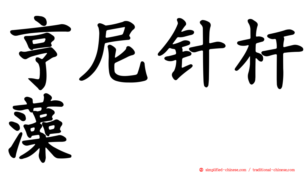 亨尼针杆藻