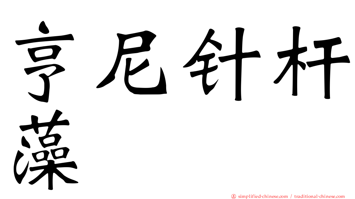 亨尼针杆藻