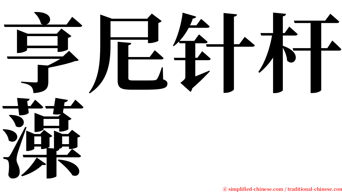 亨尼针杆藻 serif font