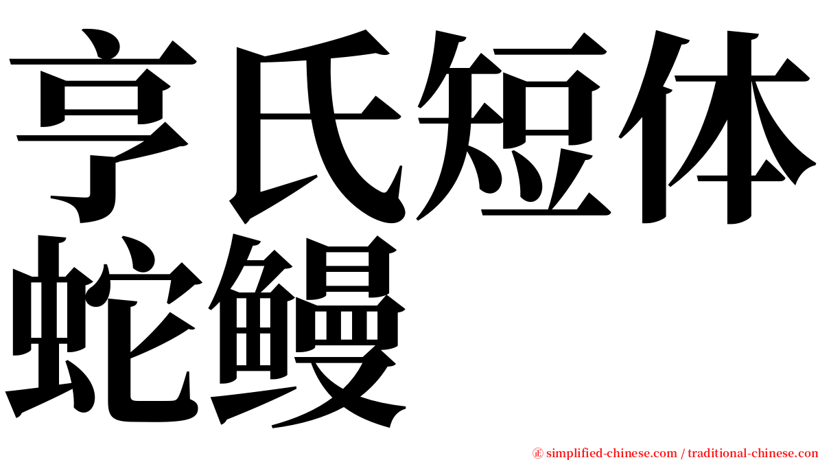 亨氏短体蛇鳗 serif font