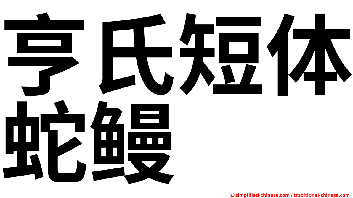 亨氏短体蛇鳗
