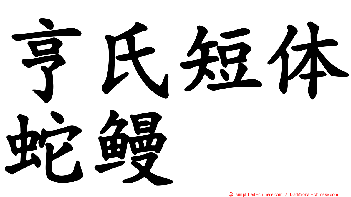 亨氏短体蛇鳗