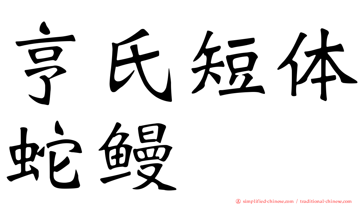 亨氏短体蛇鳗