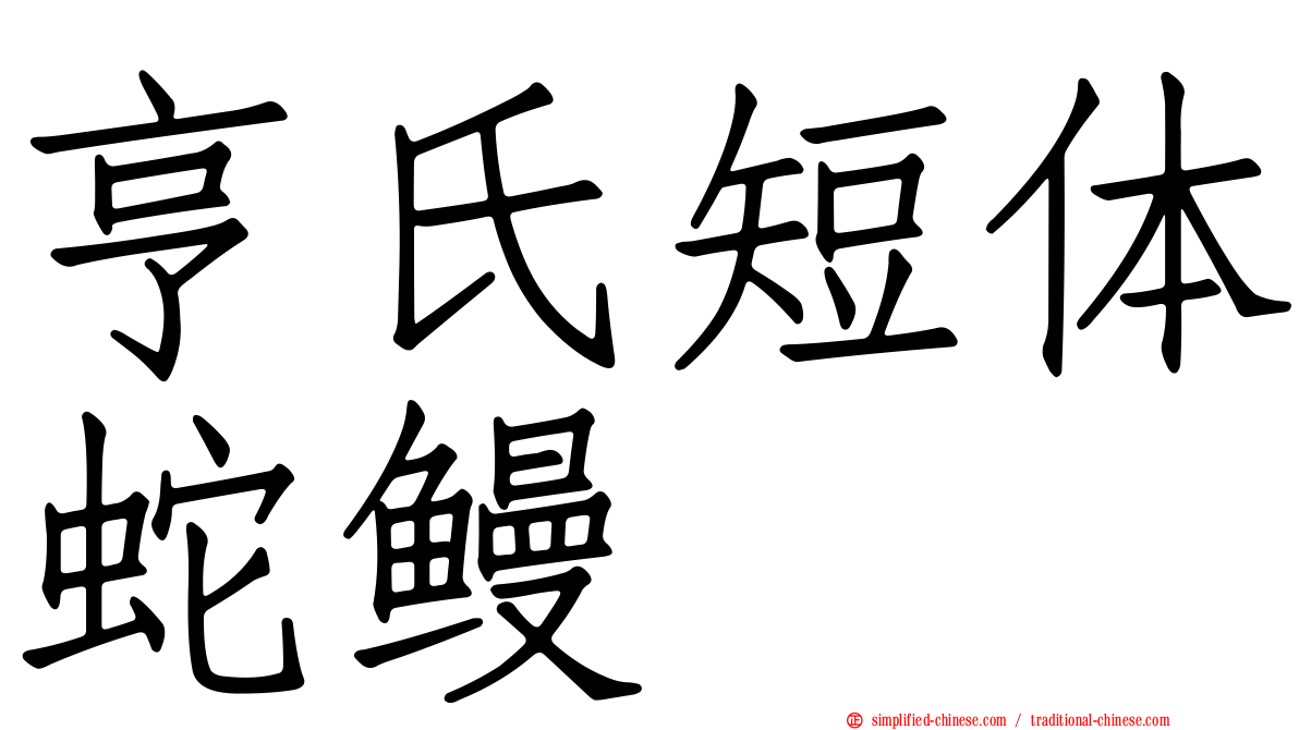 亨氏短体蛇鳗