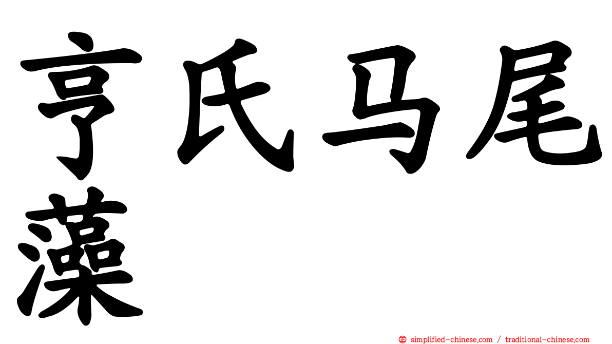 亨氏马尾藻