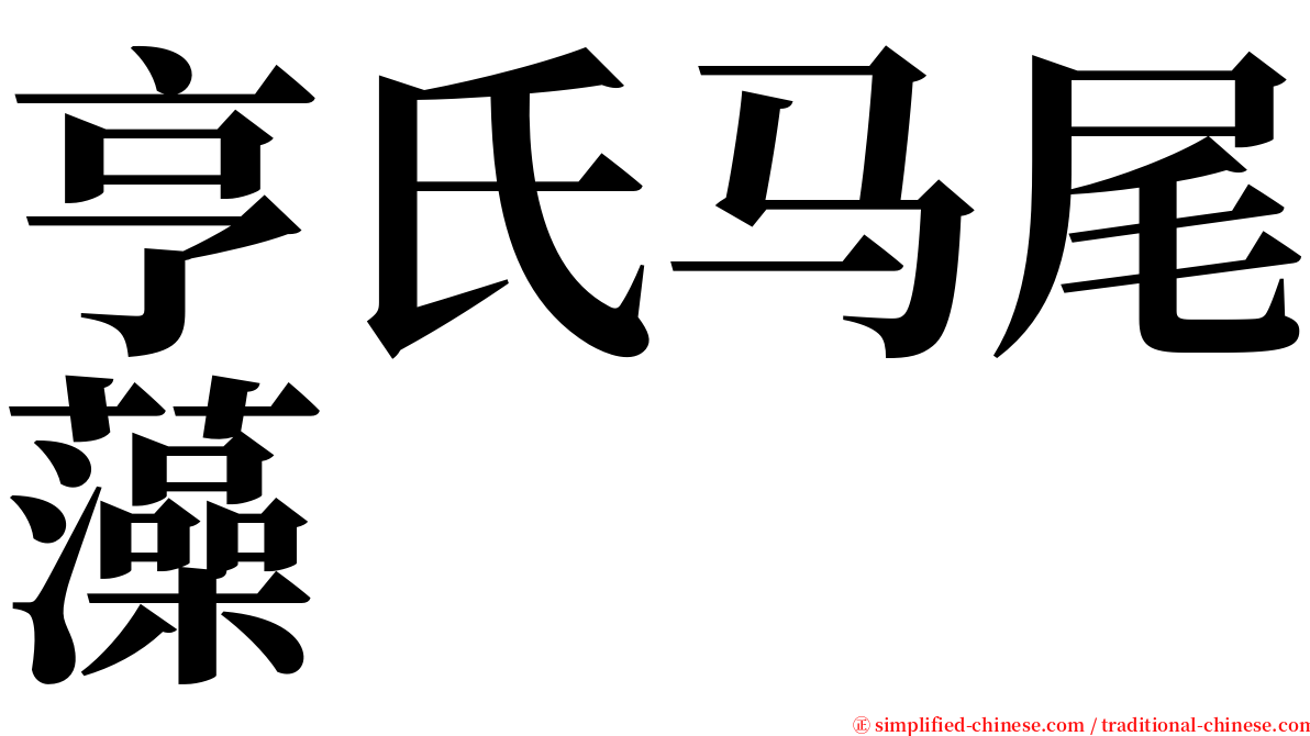 亨氏马尾藻 serif font