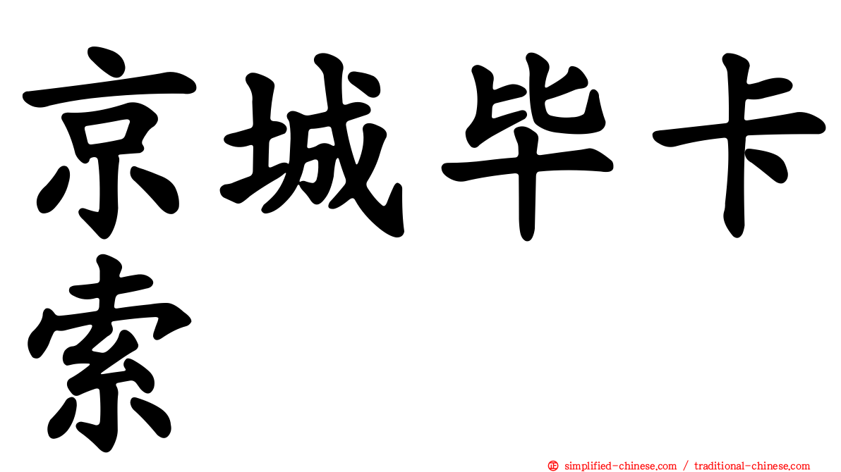京城毕卡索