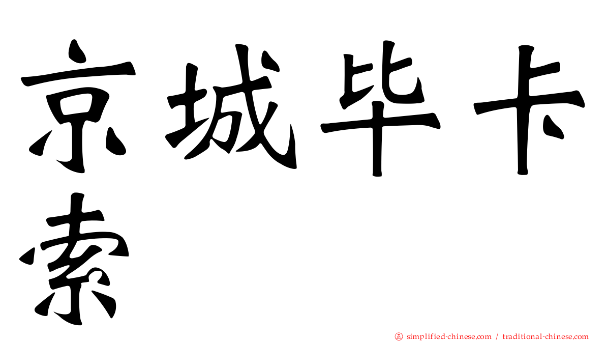 京城毕卡索