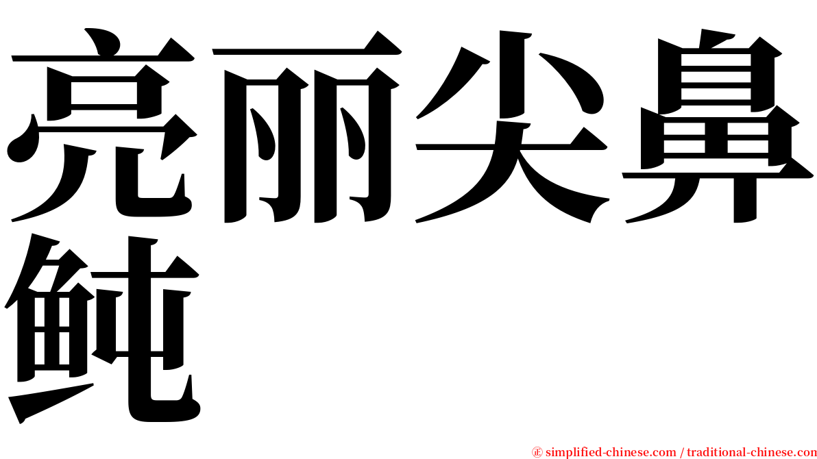 亮丽尖鼻鲀 serif font