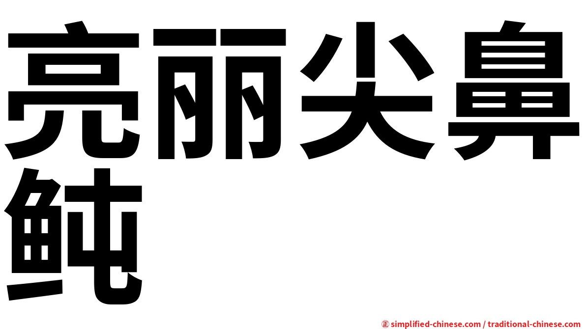 亮丽尖鼻鲀