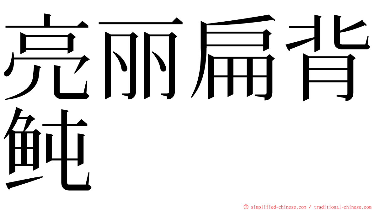 亮丽扁背鲀 ming font