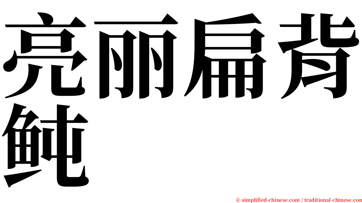 亮丽扁背鲀 serif font