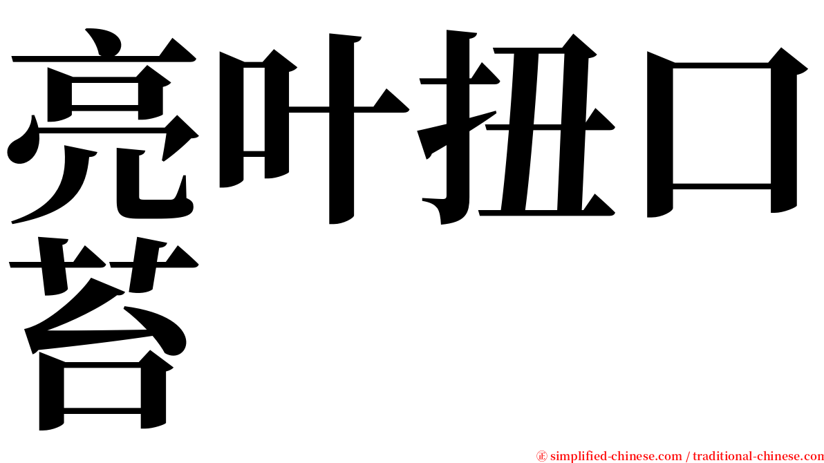 亮叶扭口苔 serif font