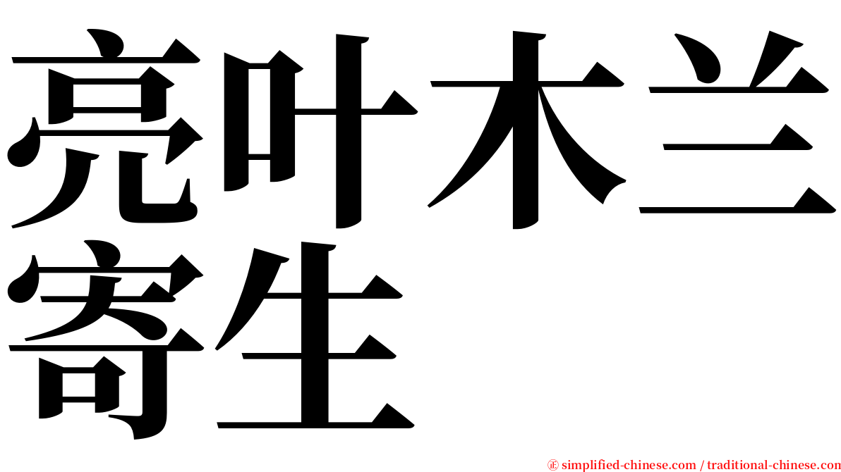 亮叶木兰寄生 serif font