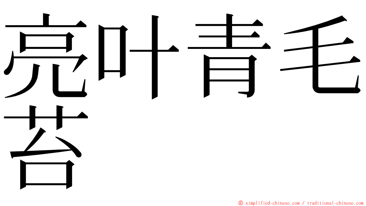 亮叶青毛苔 ming font