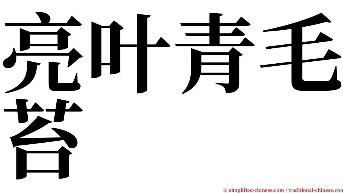 亮叶青毛苔 serif font