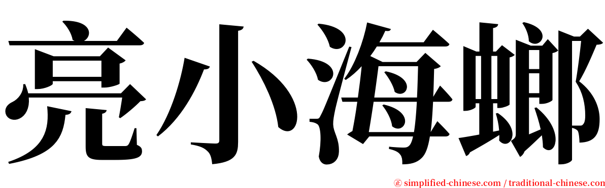 亮小海螂 serif font