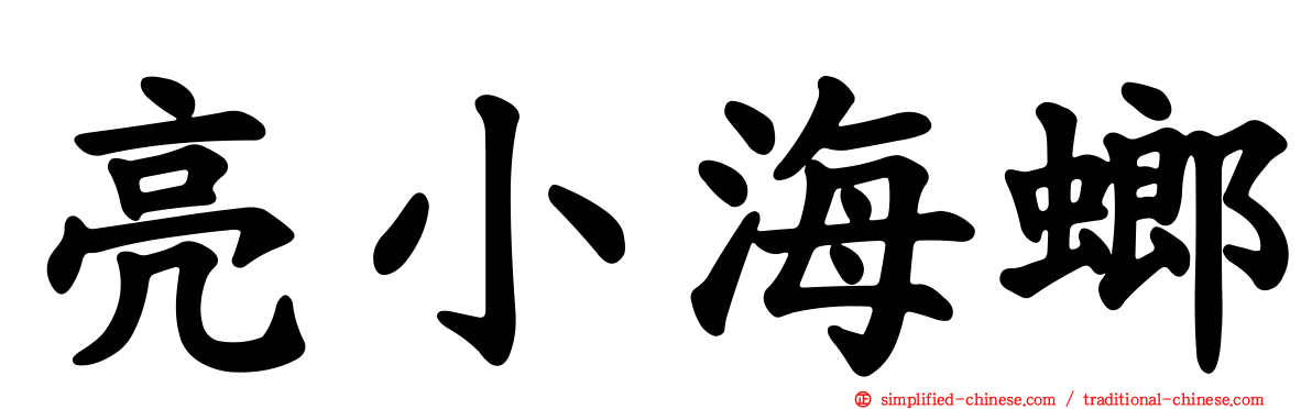 亮小海螂