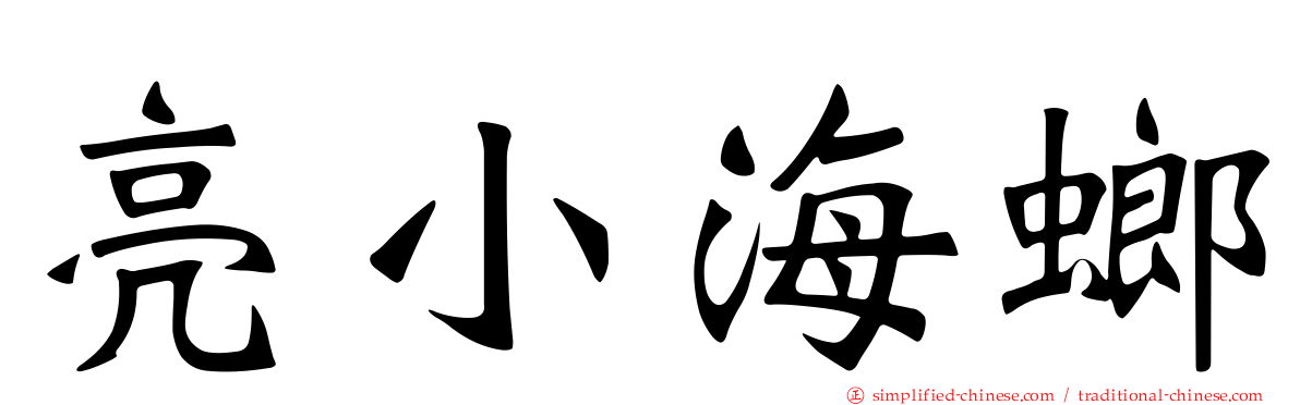 亮小海螂