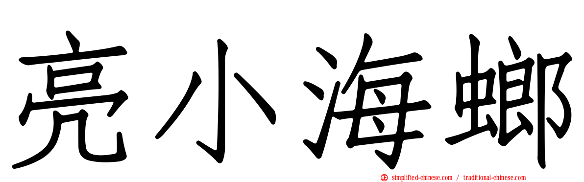亮小海螂