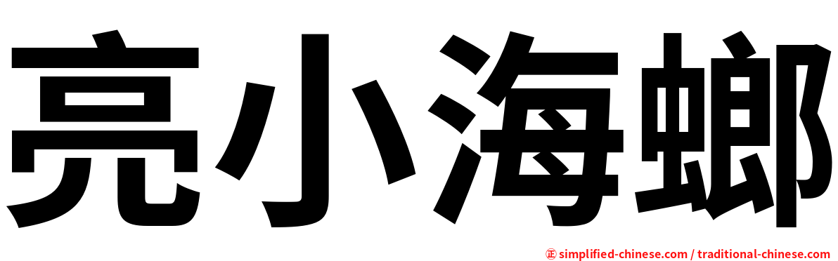亮小海螂