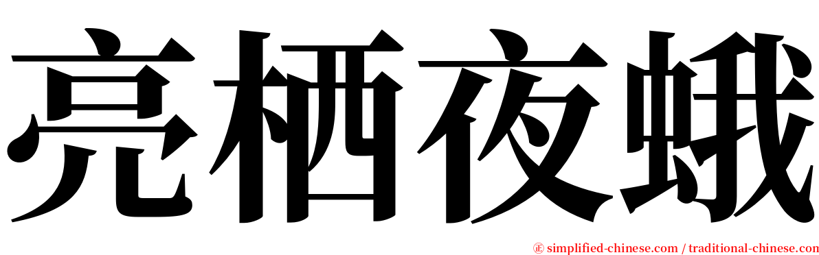 亮栖夜蛾 serif font