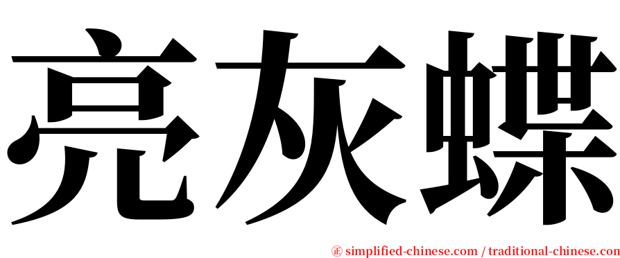 亮灰蝶 serif font