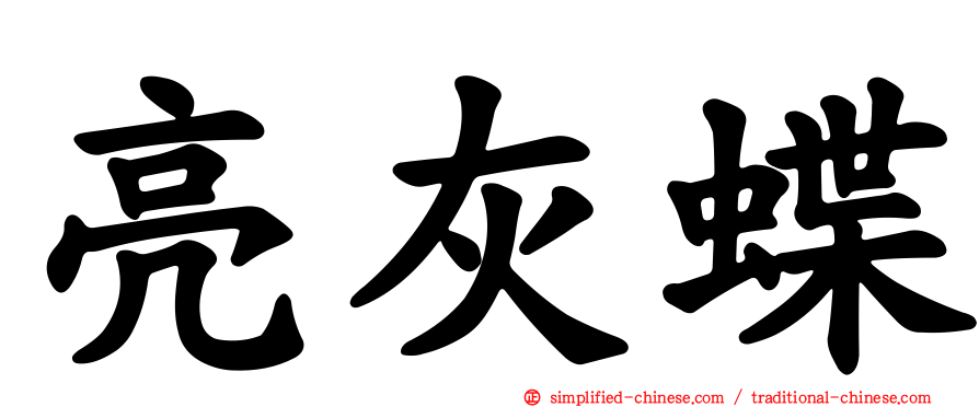 亮灰蝶
