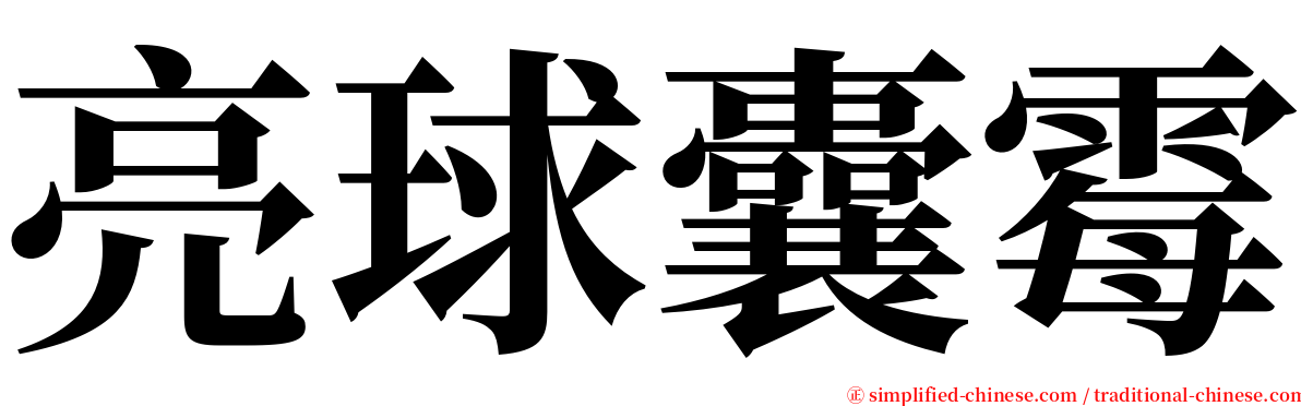 亮球囊霉 serif font