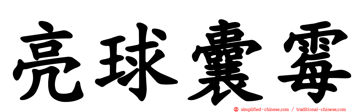 亮球囊霉