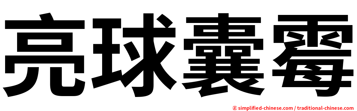 亮球囊霉