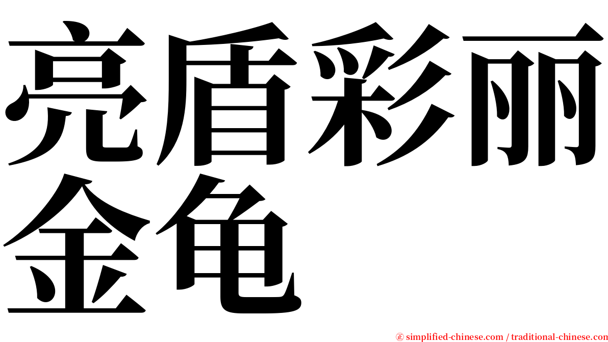 亮盾彩丽金龟 serif font