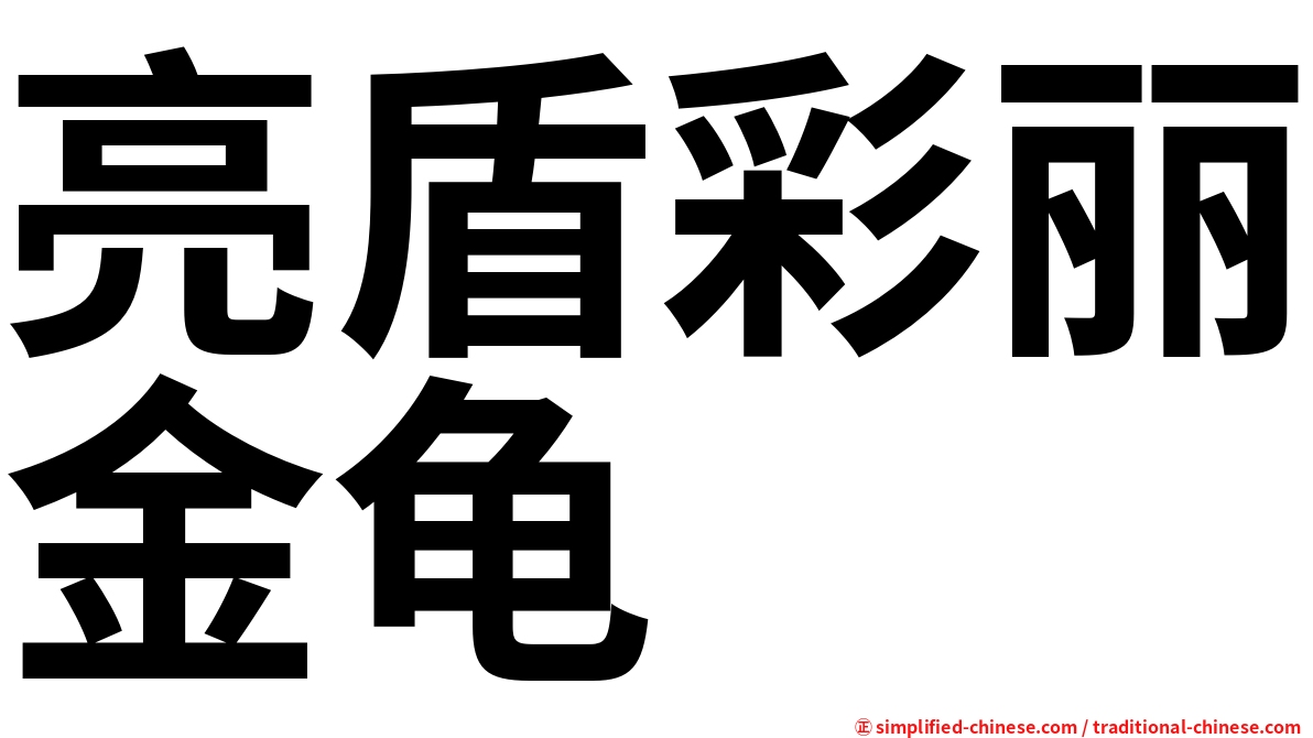 亮盾彩丽金龟