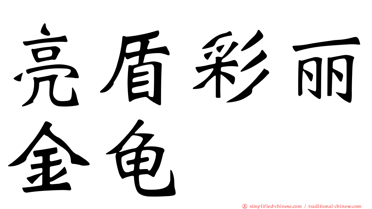 亮盾彩丽金龟