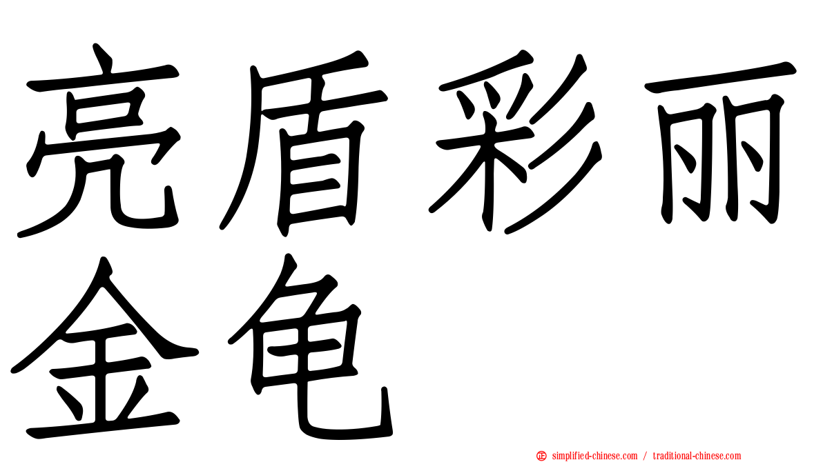 亮盾彩丽金龟