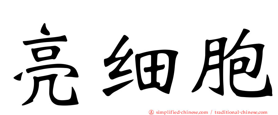 亮细胞