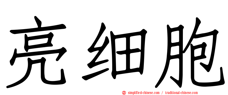 亮细胞