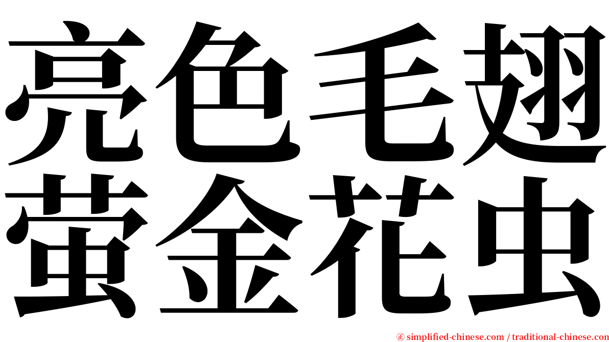 亮色毛翅萤金花虫 serif font