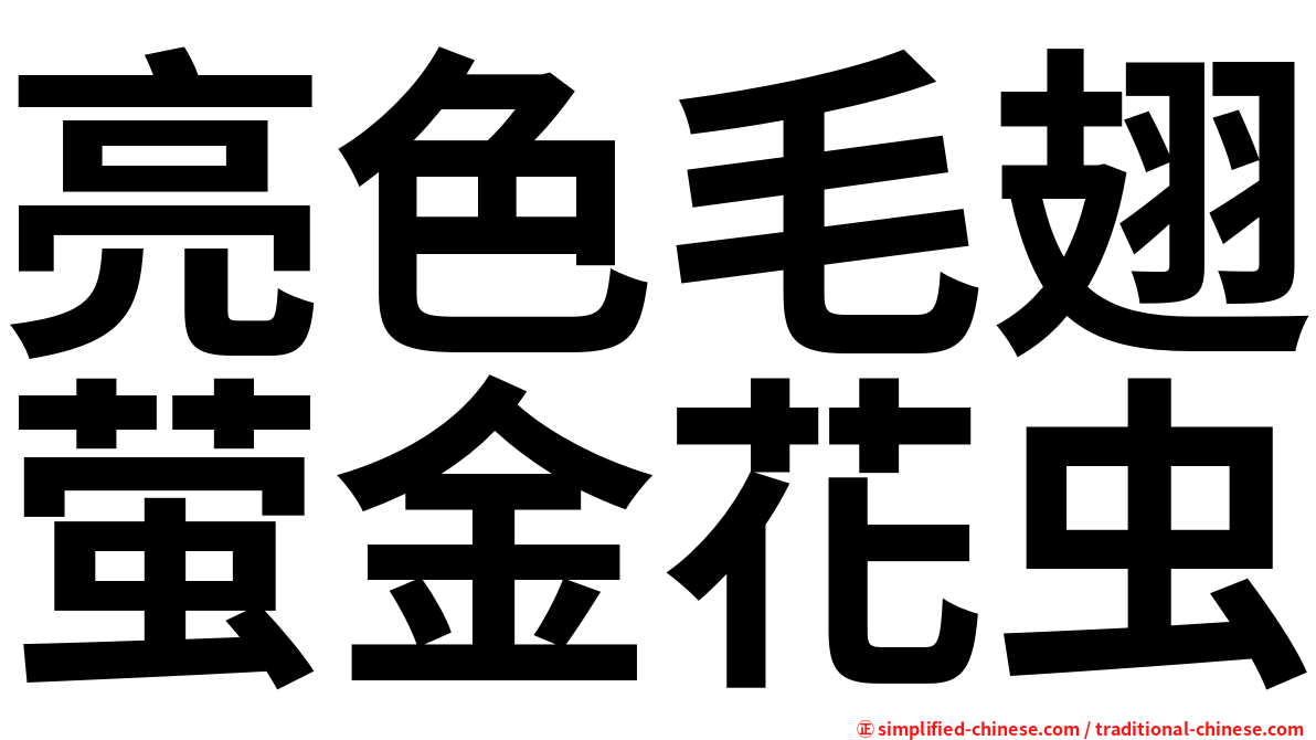 亮色毛翅萤金花虫